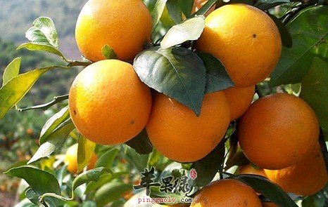 金融卡成收藏新宠96年上博龙卡涨至千元作者:吴伟忠2013-03-2015:54:19来源:工人日报1985年6月,中国“火狐电竞”(图2) 火狐电竞