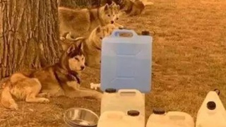 火狐电竞官方网站